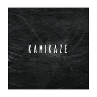 Picture for song 'Kamikaze ' by artist 'Nick Vanelli'