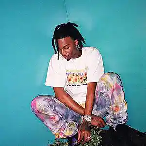Picture for song 'Playboi Carti Whole Lotta Red Type Beat' by artist 'NiqueProduction'
