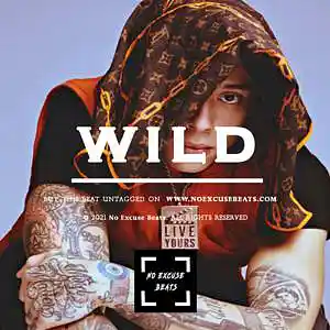 Picture for song 'Central Cee "Wild" BUY 2 GET 1 FREE' by artist 'No Excuse Beats'