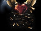 Picture for song 'So Fly' by artist 'Opera House Productionz'
