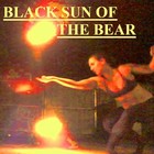 Picture for song 'BLACK SUN OF THE BEAR' by artist 'Paula Reilly'