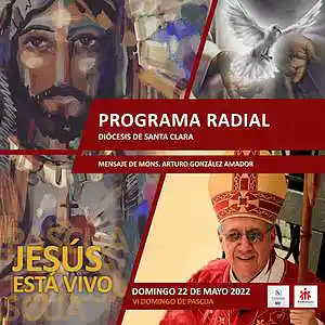 Picture for song '6to Domingo de Pascua - 22 de mayo' by artist 'Producciones Vandor'