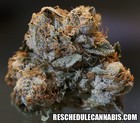Picture for song 'Cali Kush (Street Type)' by artist 'PURPS BEATS'