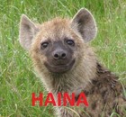 Picture for song 'Ketlo Cute Che Patni' by artist 'Refractor'