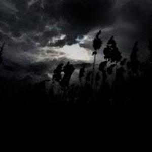 Picture for song 'Edge Of Darkness' by artist 'RESIDENT ACID'