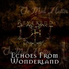 Picture for song 'Lullabies and Echoes' by artist 'Reverend Havoc'