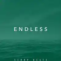Picture for song 'SCORP BEATZ - ENDLESS' by artist 'Scorp Beatz'