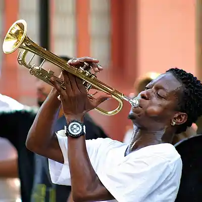 Picture for song 'Magnolia Soldier' by artist 'Selfmade production'