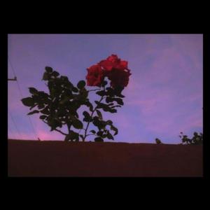 Picture for song 'Base De Rap Lofi Triste /Depressed/Chill Boom B' by artist 'Stc Beats VB'