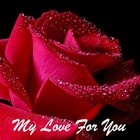 Picture for song 'Tara O'Brien - My Love For You' by artist 'Tara O'Brien'