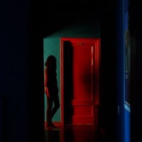 Picture for song 'Boat Song' by artist 'the lost highway'
