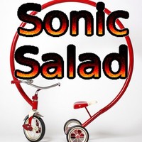 Picture for song 'You Don't Say' by artist 'The Sonic Salad'