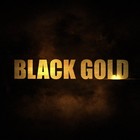 Picture for song 'Black Gold' by artist 'This Is OneS'