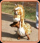 Picture for song 'Your Mom Is A Terrorist' by artist 'Tony Anonymous'