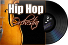 Picture for song 'HIP HOP 016' by artist 'Track Fusion Productions'
