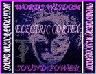 Picture for song 'ELECTRIC CORTEX (TWINED ECLECTRIC)' by artist 'TWINE-9'