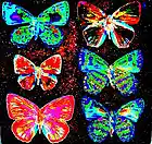 Picture for song 'Conflagration' by artist 'FranklinEMorris'