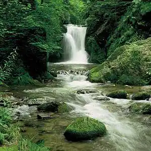 Picture for song 'LeMinhMan.com lowbass rim mer' by artist 'leminhman'