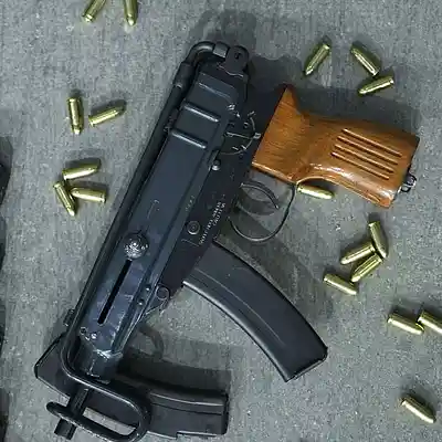 Picture for song 'It's Wild Out Here' by artist 'MAIN MC'