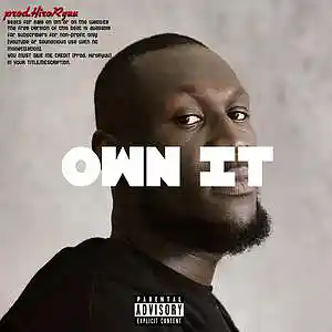 Picture for song 'OWN IT - Stormzy Type Beat' by artist 'HiroRyuu'