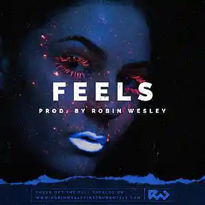 Picture for song 'Feels' by artist 'Robin Wesley'