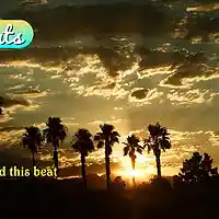 Picture for song 'Beat #1 FREE BEAT ' by artist 'SgBeatsProduction'