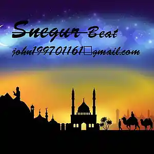 Picture for song 'Arabic' by artist 'Snegur'