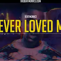 Picture for song '*Chill* Never Loved Me' by artist 'TheBeatMenace'