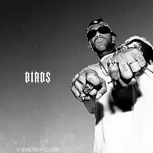 Picture for song 'Birds (Buy 1 Get 1-3 FREE)' by artist 'V-Sine Beatz'