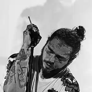 Picture for song 'VAGABOND *Post Malone*' by artist 'XXXMAKEITBOUNCE'