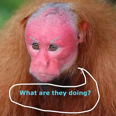 Picture for song 'Nature' by artist 'Al Dionisio'