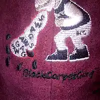 Picture for song '3SONG' by artist 'Blu Hill Black Carpet Gang'