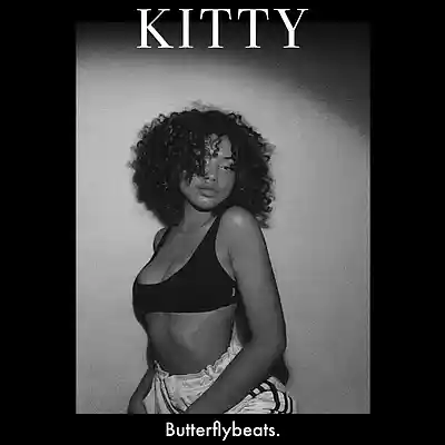 Picture for song 'Trap Type Beat 2024 - "KITTY" l Hip Hop Beat' by artist 'Butterfly Beats'