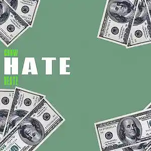 Picture for song 'hate' by artist 'CrowBeatz'