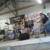 Picture for song 'Pink Dally Rue' by artist 'The Bigger Issues!'