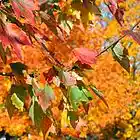Picture for song '"Autumn Falls"' by artist 'Kevroc'