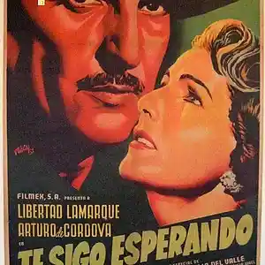 Picture for song 'sigo esperando' by artist 'LSCROOKS'