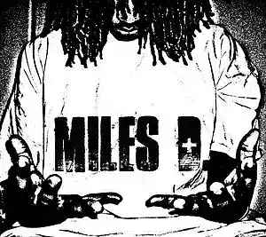 Picture for song 'fame' by artist 'Miles Da Pilot'