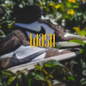 Picture for song 'Travis Scott Type Beat Wash Buy 1 Get 2 Free Exclu' by artist 'CGPbeats'