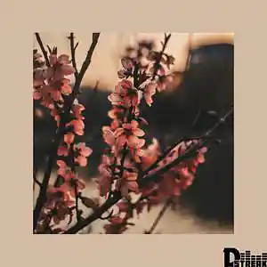 Picture for song 'Sampled R&B Type Beat - "I'm Crazy"' by artist 'D-Streak057'