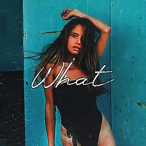 Picture for song 'What' by artist 'Frankenstein Beats'
