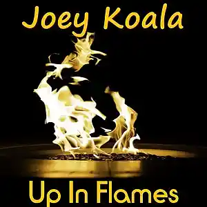 Picture for song 'Up In Flames' by artist 'Joey Koala'