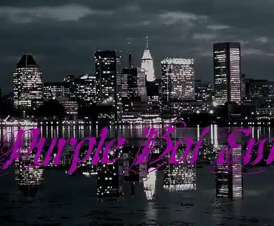 Picture for song 'South Side Story' by artist 'Purple Boi Ent'