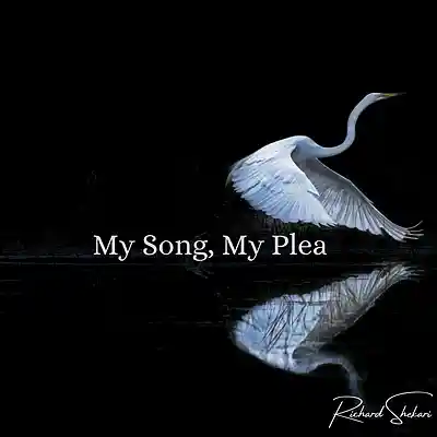 Picture for song 'My Song, My Plea' by artist 'Richard Shekari'