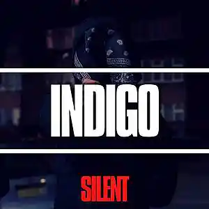 Picture for song '"Indigo" Dark Drill Type Beat' by artist 'Silent The Producer'