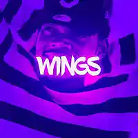 Picture for song 'Wings ' by artist 'Pragz'