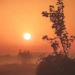 Picture for song 'BIG CASH' by artist 'VYWeedsion'