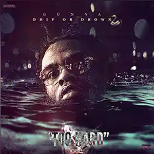 Picture for song 'NEW(Too Hard)' by artist 'Yung Murk Beats'