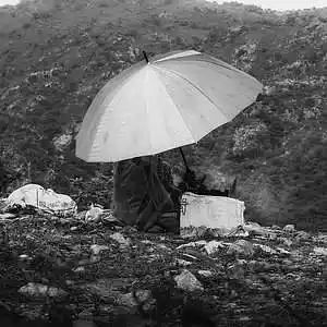 Picture for song 'SUMMER RAIN Chill Hip Hop Good Vibes Beat' by artist 'Zalfprod'