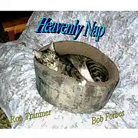 Picture for song 'Heavenly Nap' by artist 'Forbes Ministry Of Music'